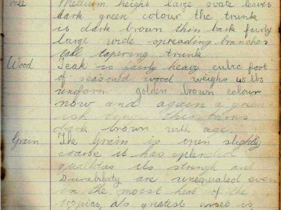 SJ-de-Villiers-1935_Page_12